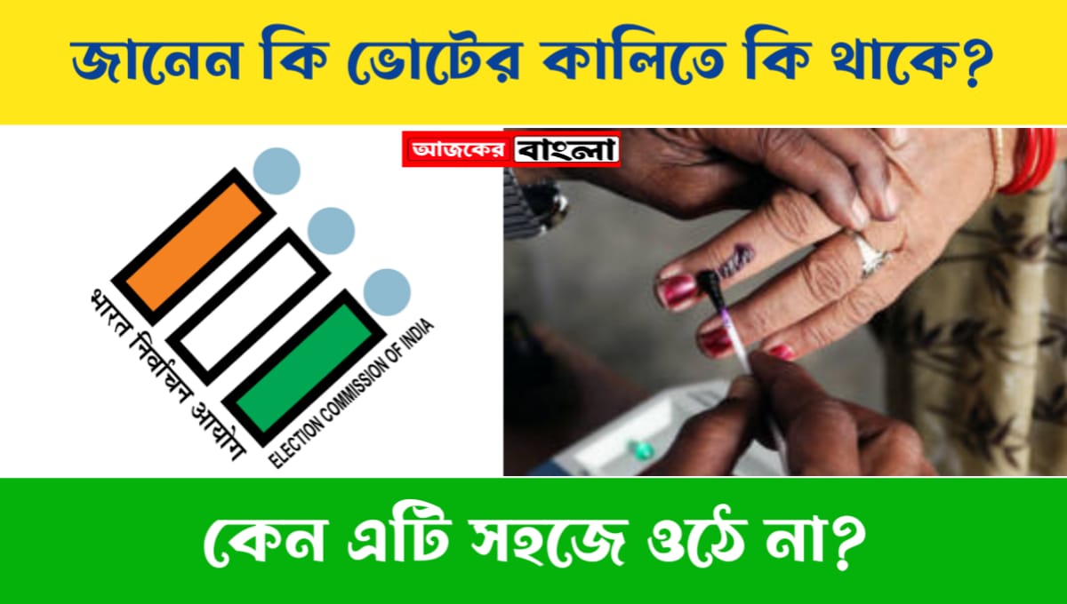 Know what goes into voting ink